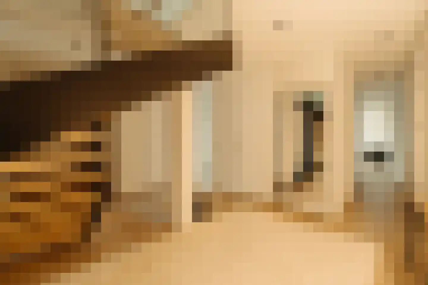 Pieter de Hoochstraat 9 E Amsterdam thumbnail 27