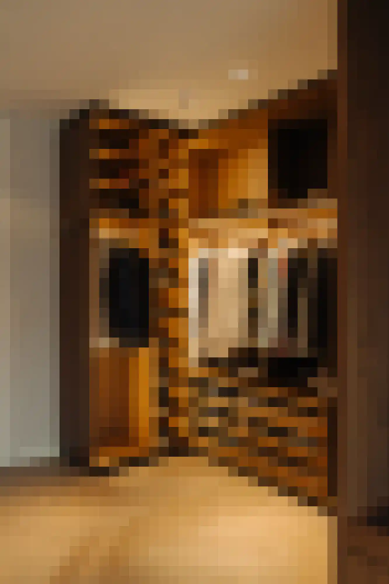 Pieter de Hoochstraat 9 E Amsterdam thumbnail 31