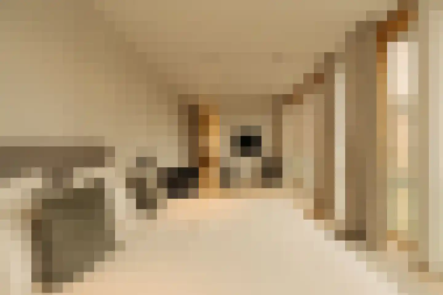 Pieter de Hoochstraat 9 E Amsterdam thumbnail 47