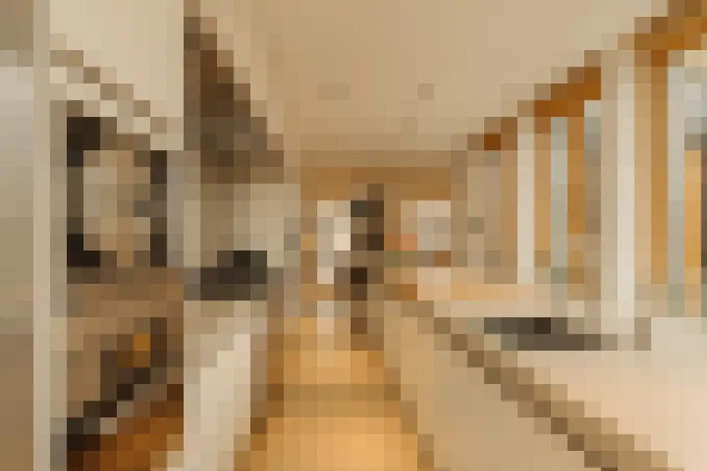 Pieter de Hoochstraat 9 E Amsterdam thumbnail 5