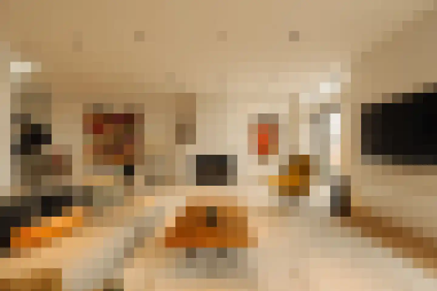 Pieter de Hoochstraat 9 E Amsterdam thumbnail 7