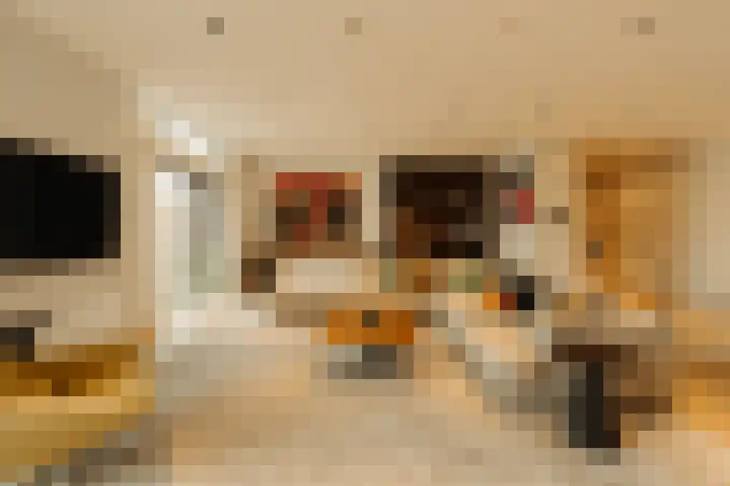 Pieter de Hoochstraat 9 E Amsterdam thumbnail 8