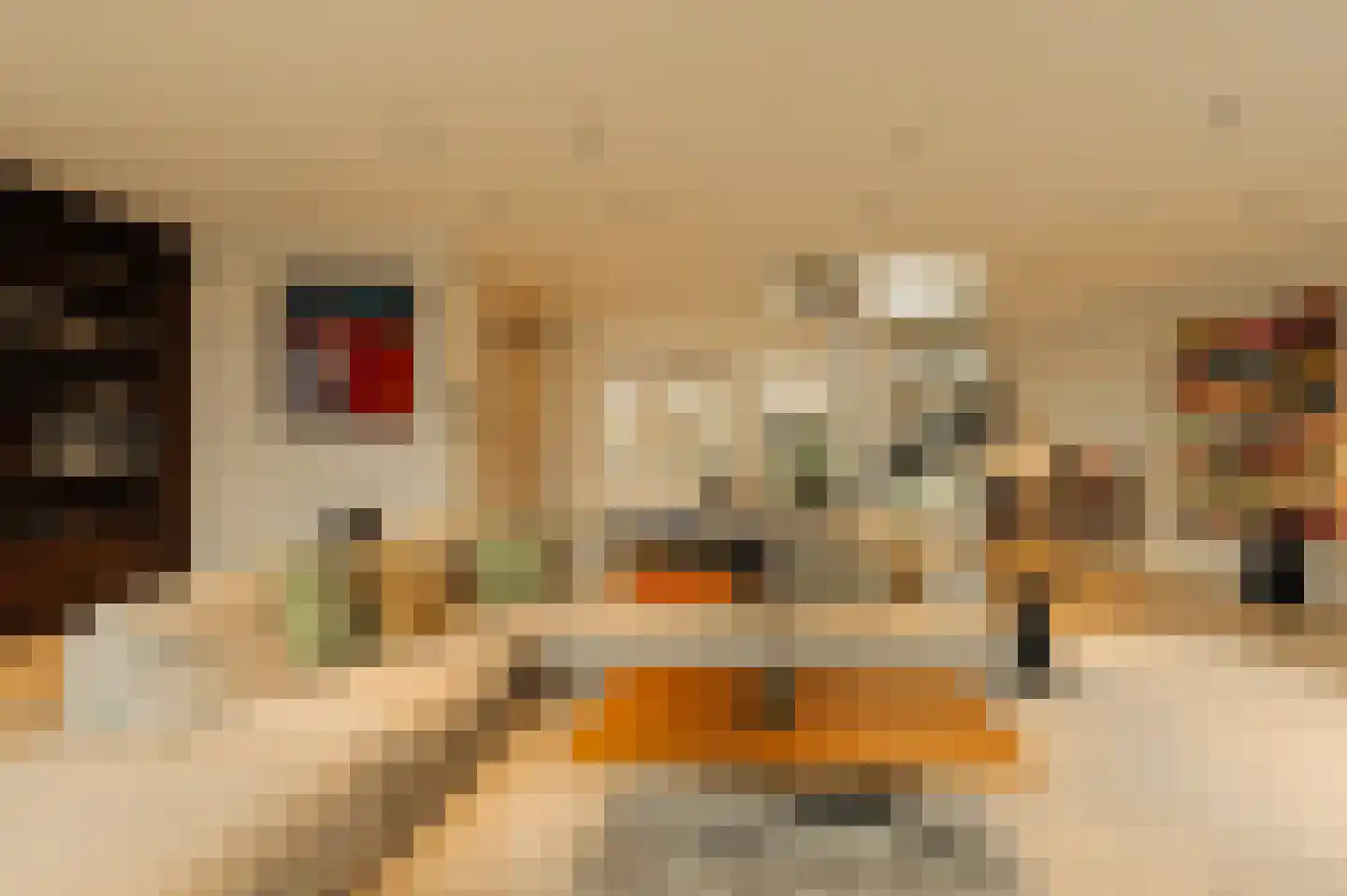Pieter de Hoochstraat 9 E Amsterdam thumbnail 9