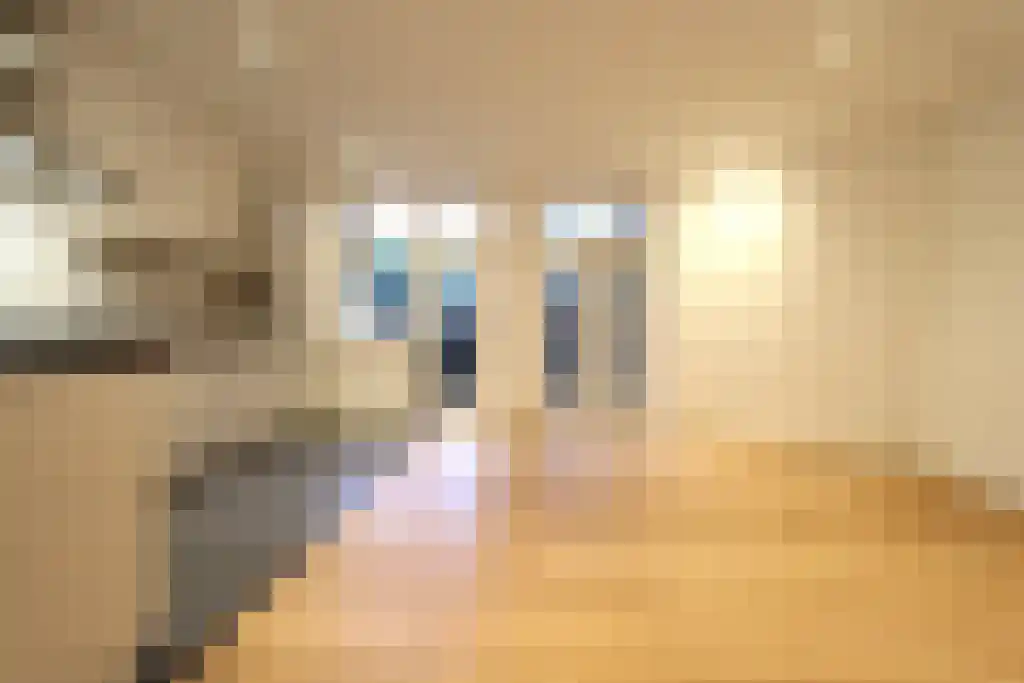 Pieter de Hoochstraat 96 Amsterdam thumbnail 4