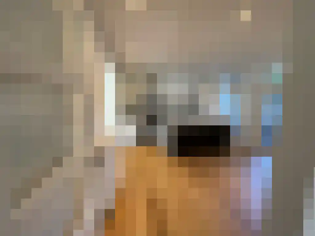 Pieter de Hoochstraat 96 Amsterdam thumbnail 4
