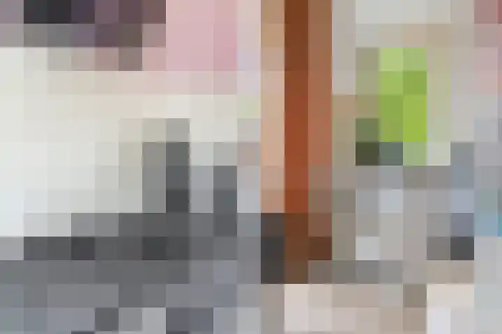 Pieter de Hoochweg 116 B Rotterdam thumbnail 16
