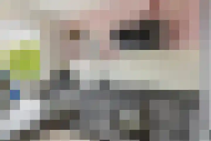 Pieter de Hoochweg 116 B Rotterdam thumbnail 17