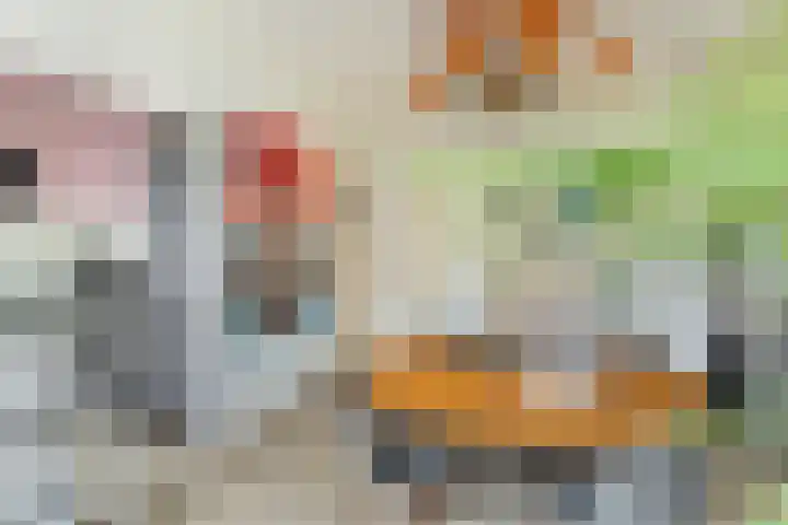 Pieter de Hoochweg 116 B Rotterdam thumbnail 20
