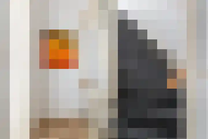 Pieter de Hoochweg 116 B Rotterdam thumbnail 22