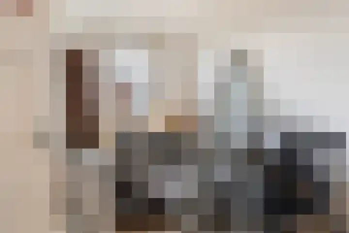 Pieter de Hoochweg 116 B Rotterdam thumbnail 27
