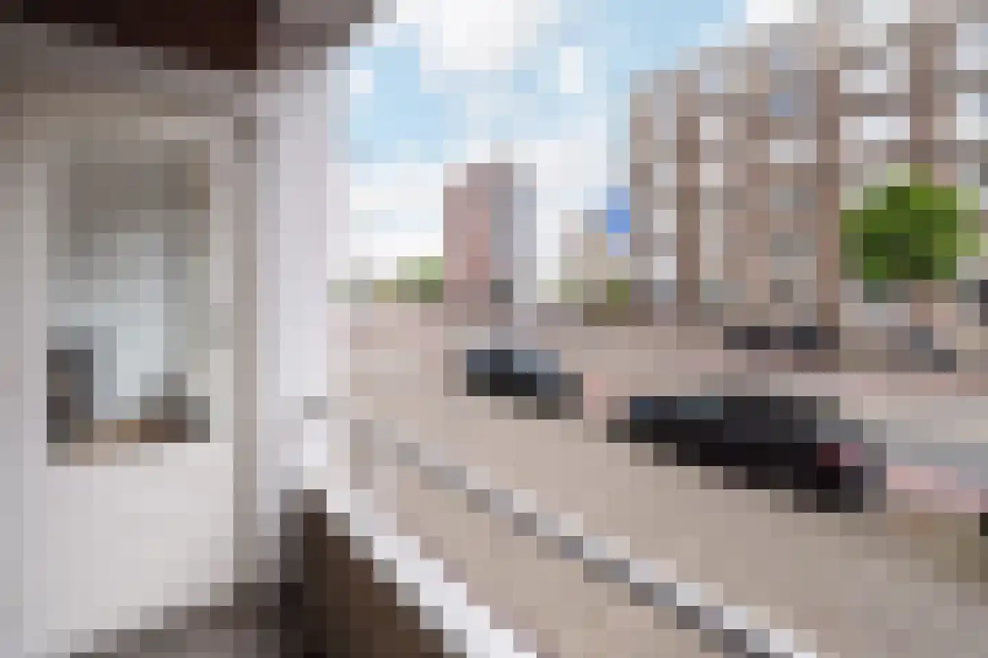 Pieter de Hoochweg 5 A Rotterdam thumbnail 25