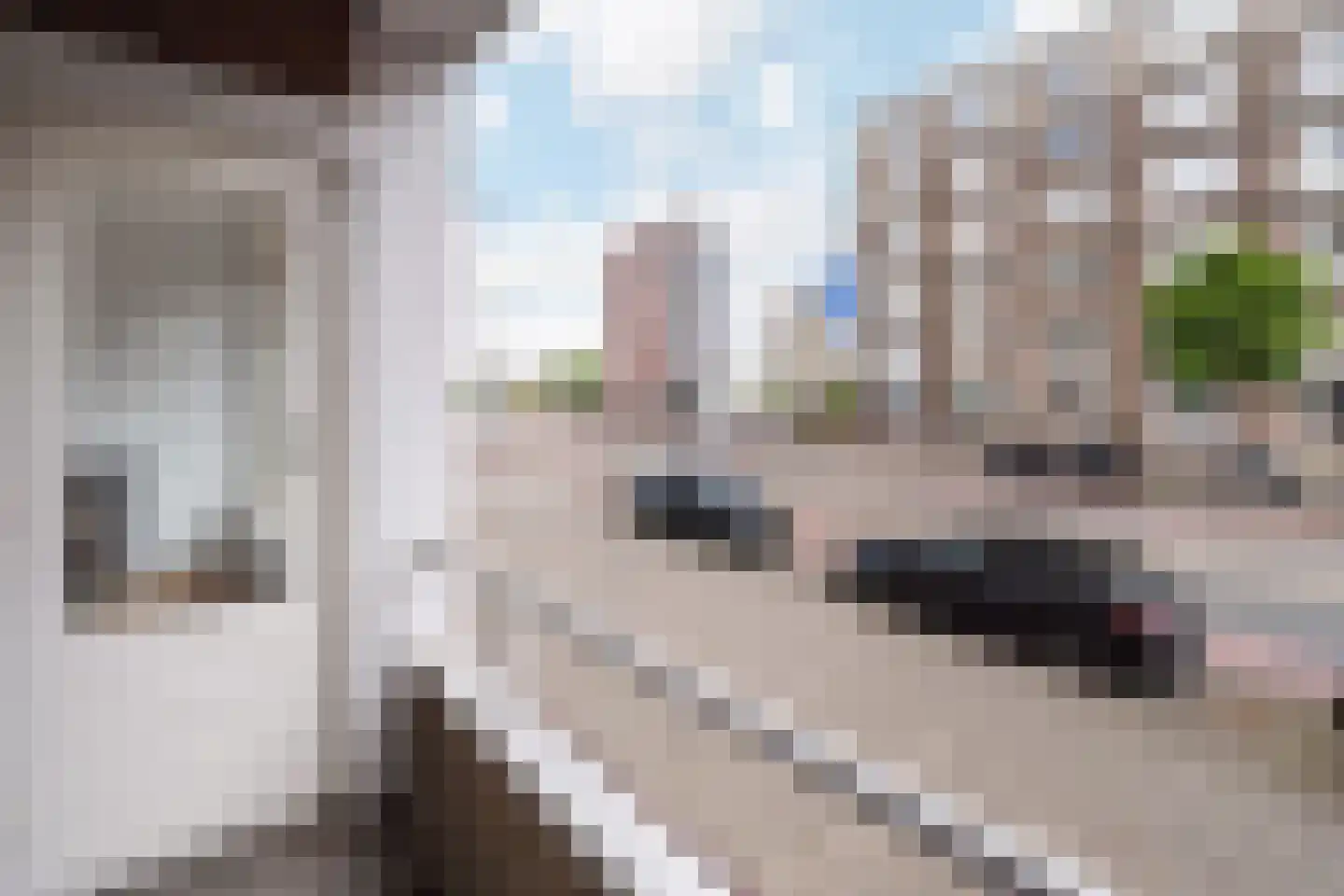 Pieter de Hoochweg 5 A Rotterdam thumbnail 26