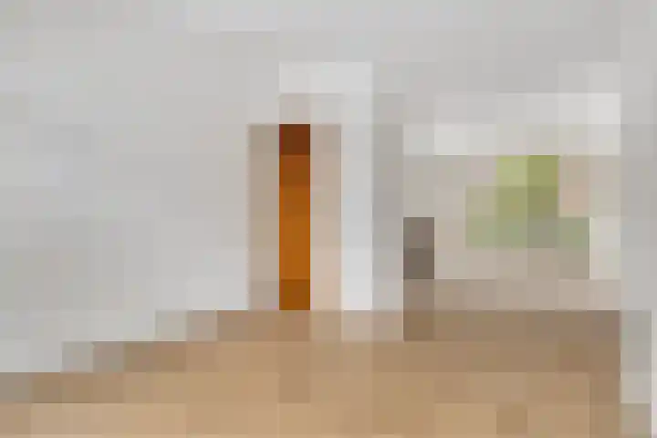 Pieter de Hoochweg 5 D Rotterdam thumbnail 12
