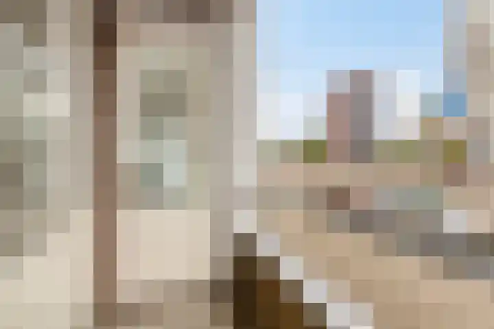 Pieter de Hoochweg 5 D Rotterdam thumbnail 14
