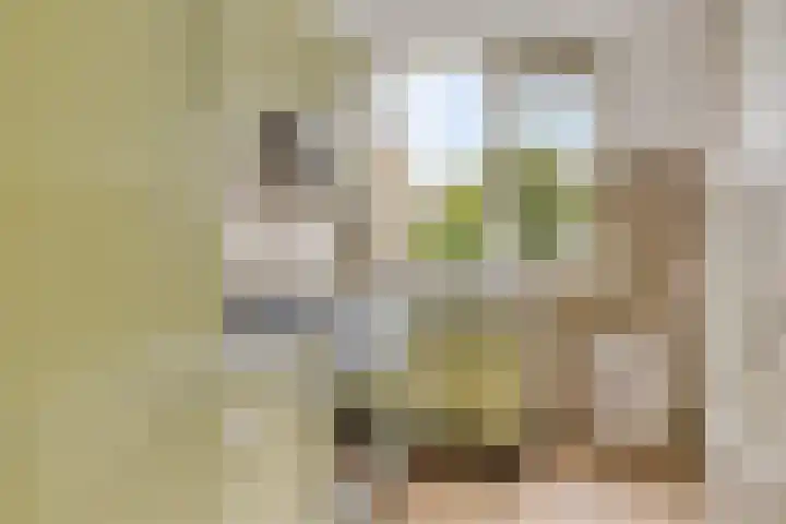 Pieter de Hoochweg 5 D Rotterdam thumbnail 16