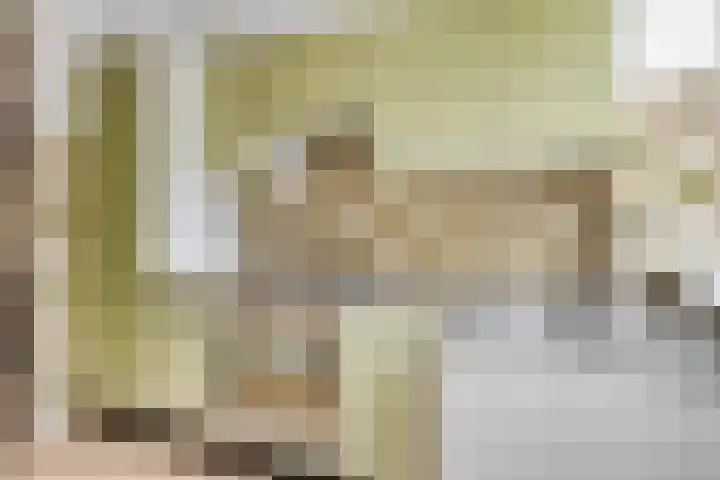 Pieter de Hoochweg 5 D Rotterdam thumbnail 17