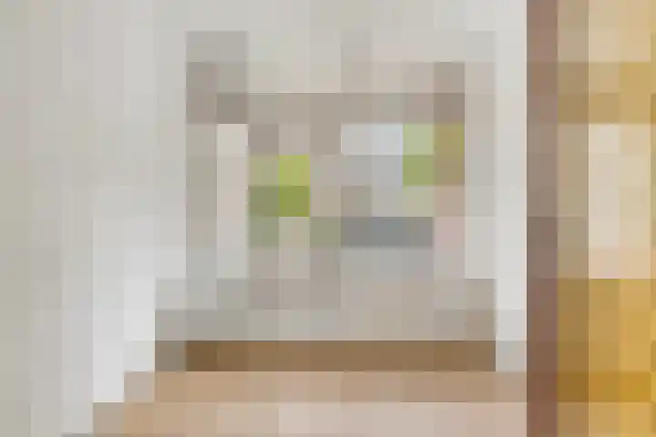 Pieter de Hoochweg 5 D Rotterdam thumbnail 19