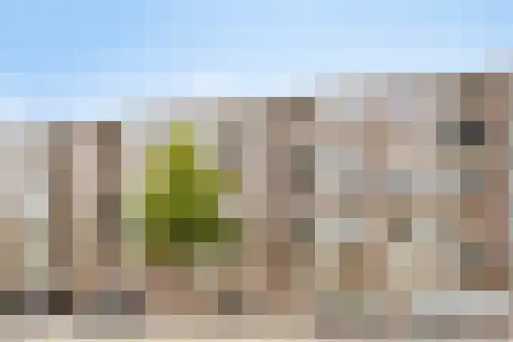 Pieter de Hoochweg 5 D Rotterdam thumbnail 21