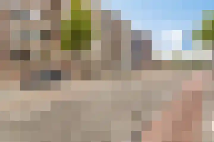 Pieter de Hoochweg 5 D Rotterdam thumbnail 22