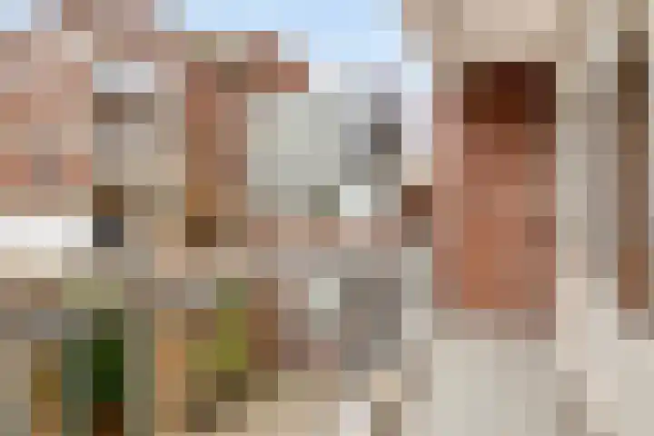 Pieter de Hoochweg 5 D Rotterdam thumbnail 4
