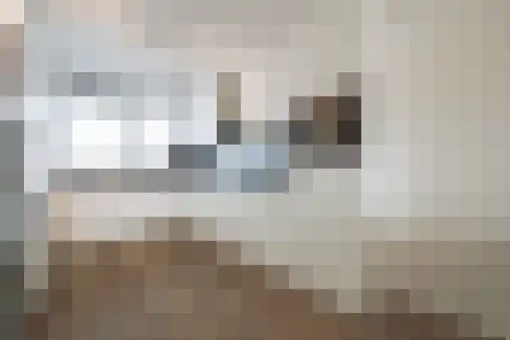 Pieter de Hooghhage 3 Nieuwegein thumbnail 10