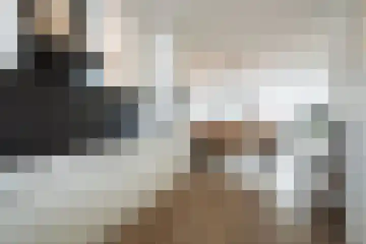 Pieter de Hooghhage 3 Nieuwegein thumbnail 11