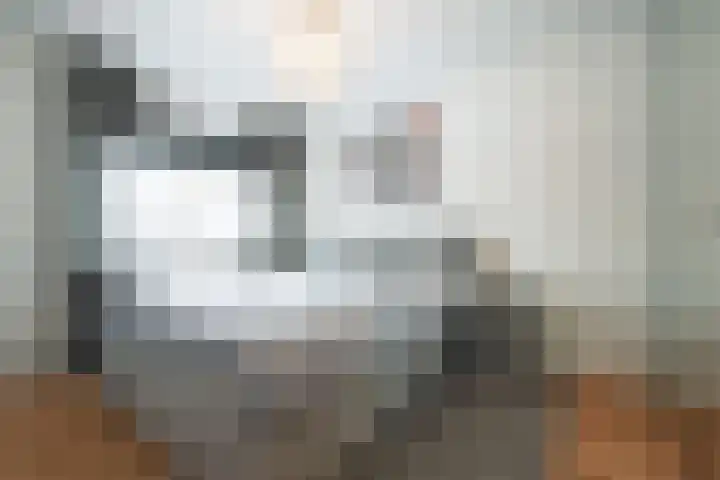 Pieter de Hooghhage 3 Nieuwegein thumbnail 12
