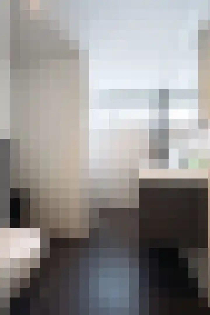 Pieter de Hooghhage 3 Nieuwegein thumbnail 15