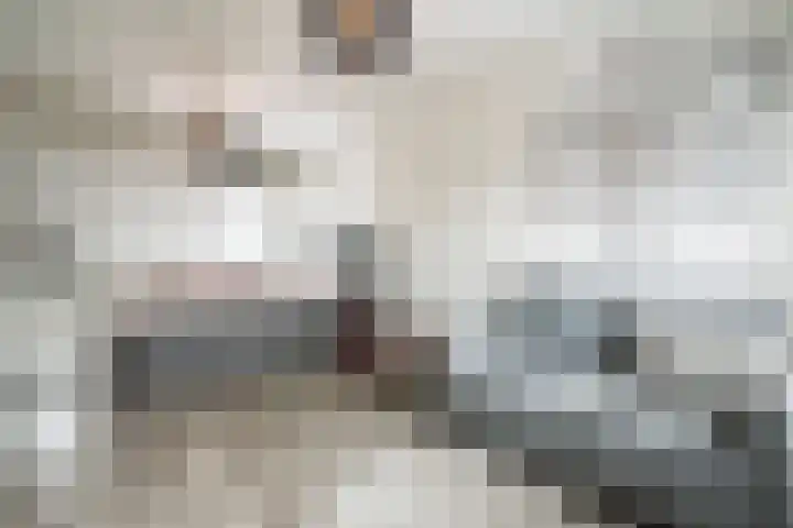 Pieter de Hooghhage 3 Nieuwegein thumbnail 17