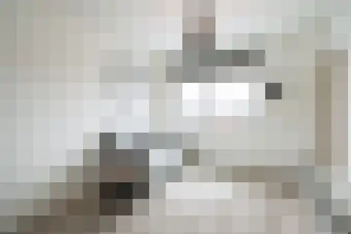 Pieter de Hooghhage 3 Nieuwegein thumbnail 18