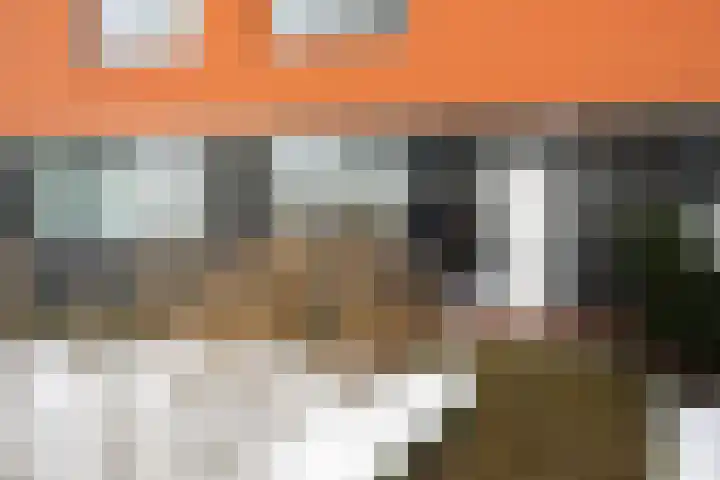 Pieter de Hooghhage 3 Nieuwegein thumbnail 4