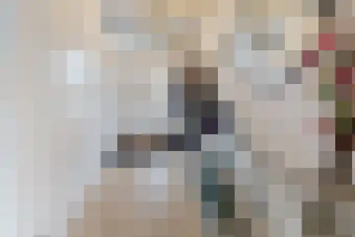 Pieter de Hooghhage 3 Nieuwegein thumbnail 5