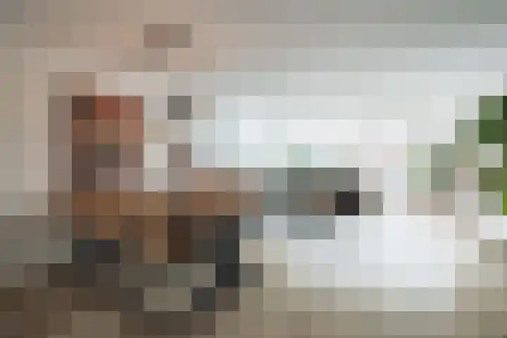 Pieter de Hooghhage 3 Nieuwegein thumbnail 6