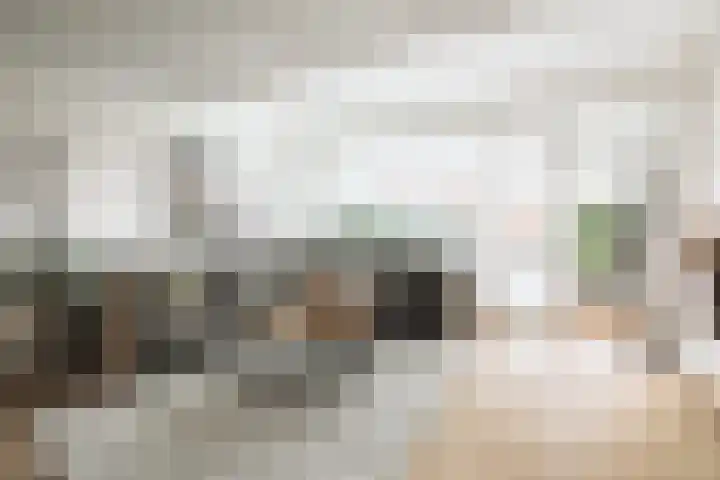 Pieter de Hooghhage 3 Nieuwegein thumbnail 7