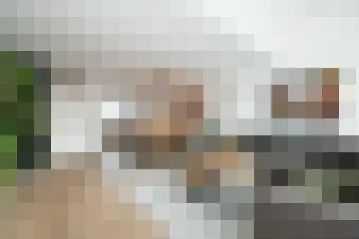 Pieter de Hooghhage 3 Nieuwegein thumbnail 8