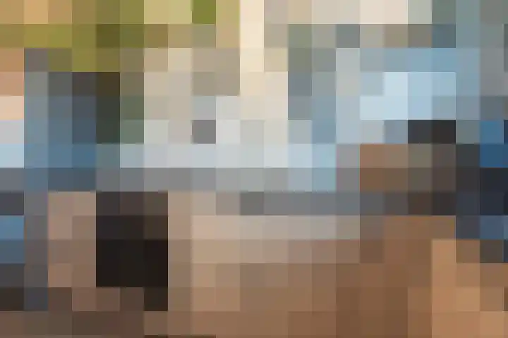 Pieter de Hooghhage 47 Nieuwegein thumbnail 11