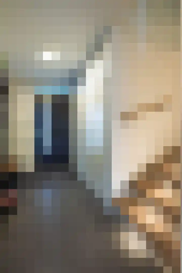 Pieter de Hooghhage 47 Nieuwegein thumbnail 12