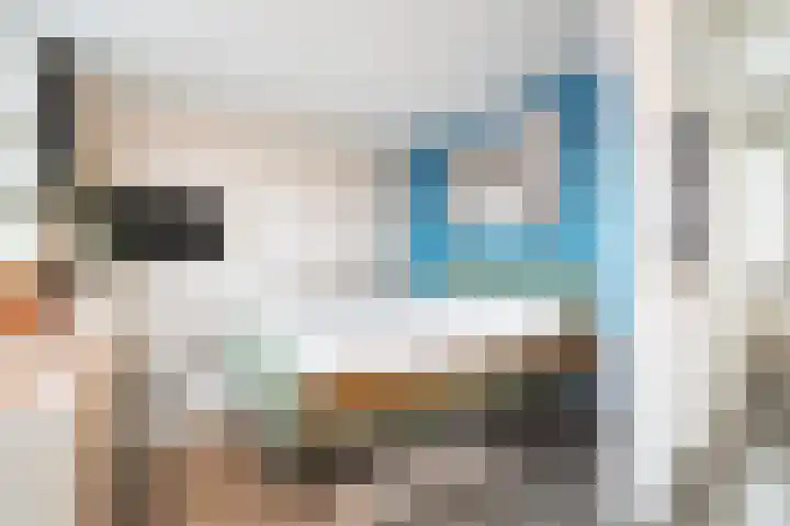 Pieter de Hooghhage 47 Nieuwegein thumbnail 19