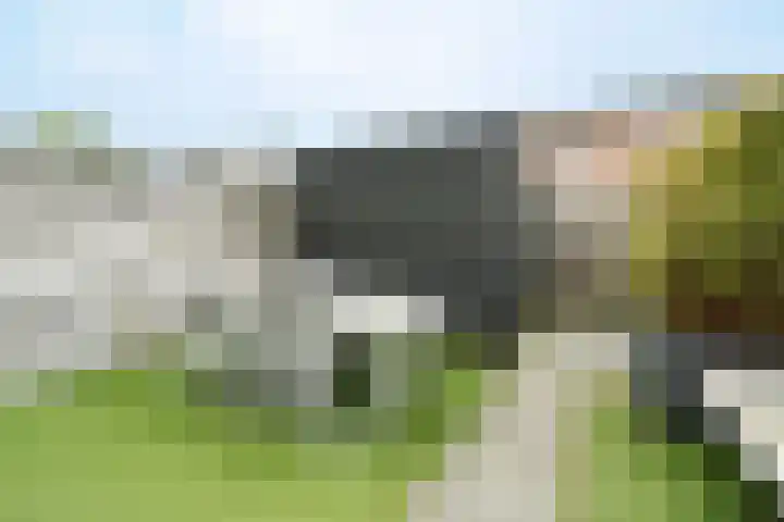 Pieter de Hooghhage 47 Nieuwegein thumbnail 24