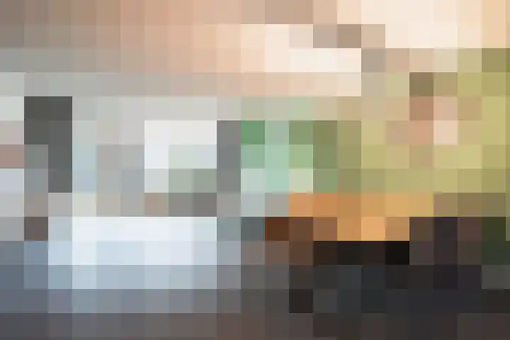 Pieter de Hooghhage 47 Nieuwegein thumbnail 5