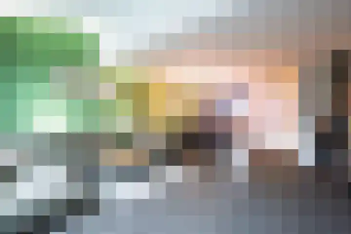 Pieter de Hooghhage 47 Nieuwegein thumbnail 7