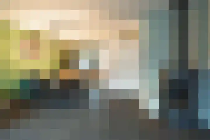 Pieter de Hooghhage 47 Nieuwegein thumbnail 8