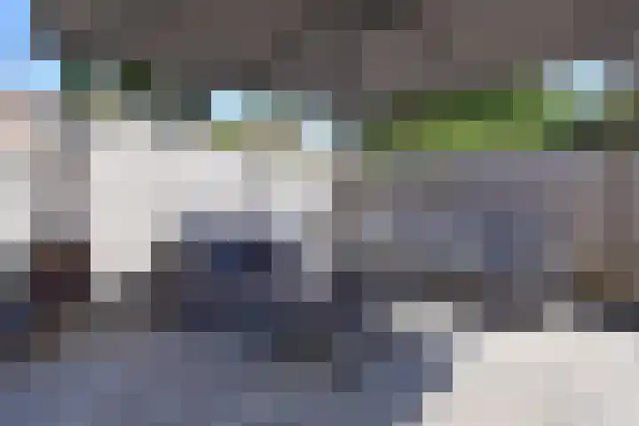 Pieter de Hooghlaan 1 Muiderberg thumbnail 13