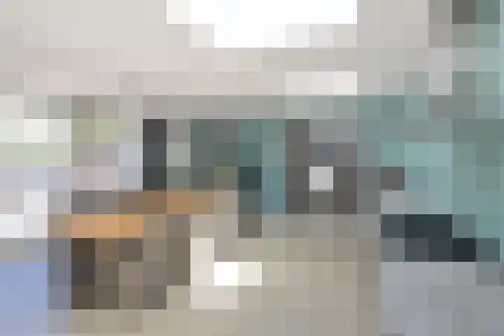 Pieter de Hooghlaan 1 Muiderberg thumbnail 8