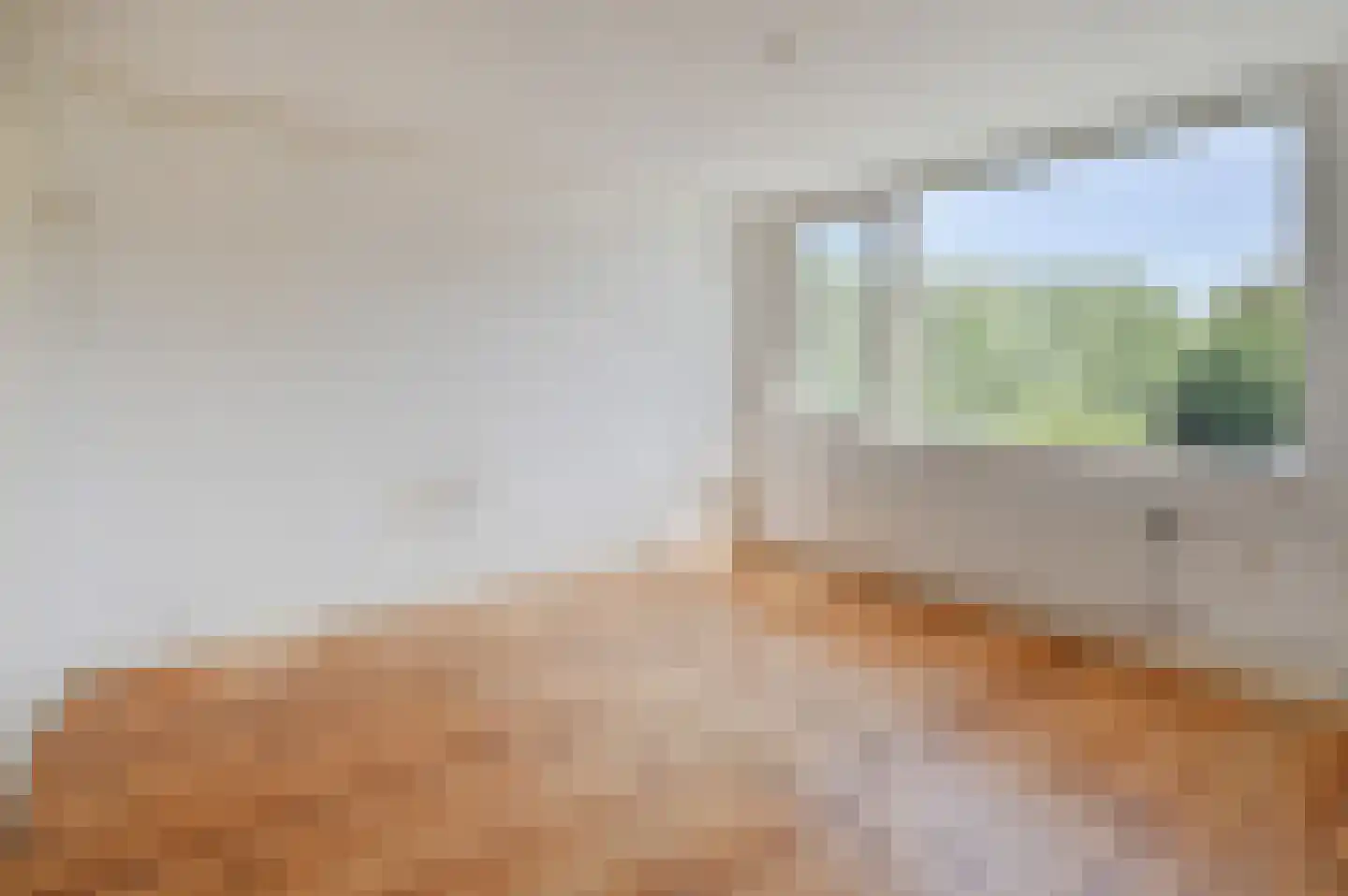 Pieter de Hooghlaan 1 Nederhorst den Berg thumbnail 14