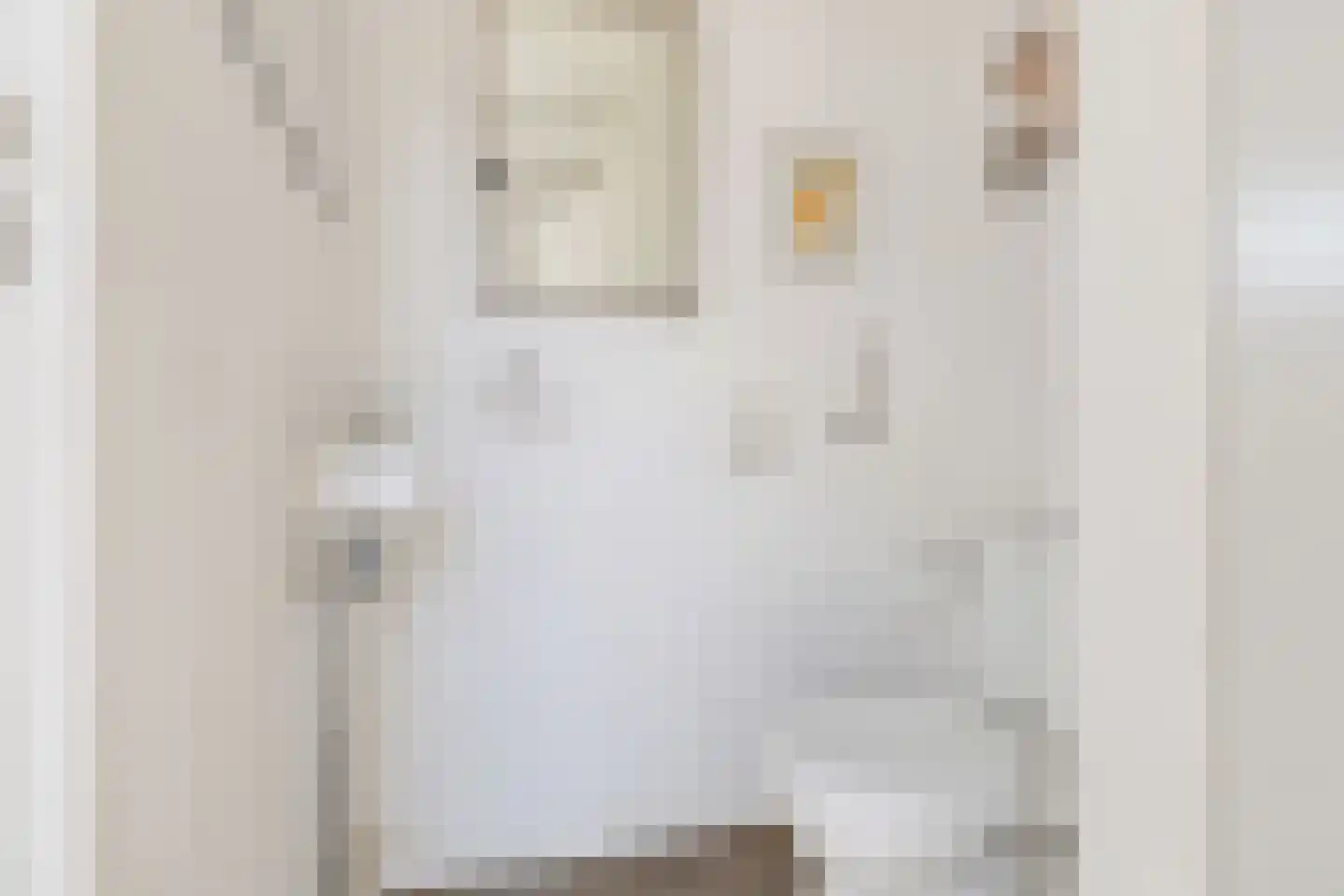 Pieter de Hooghlaan 1 Soest thumbnail 10