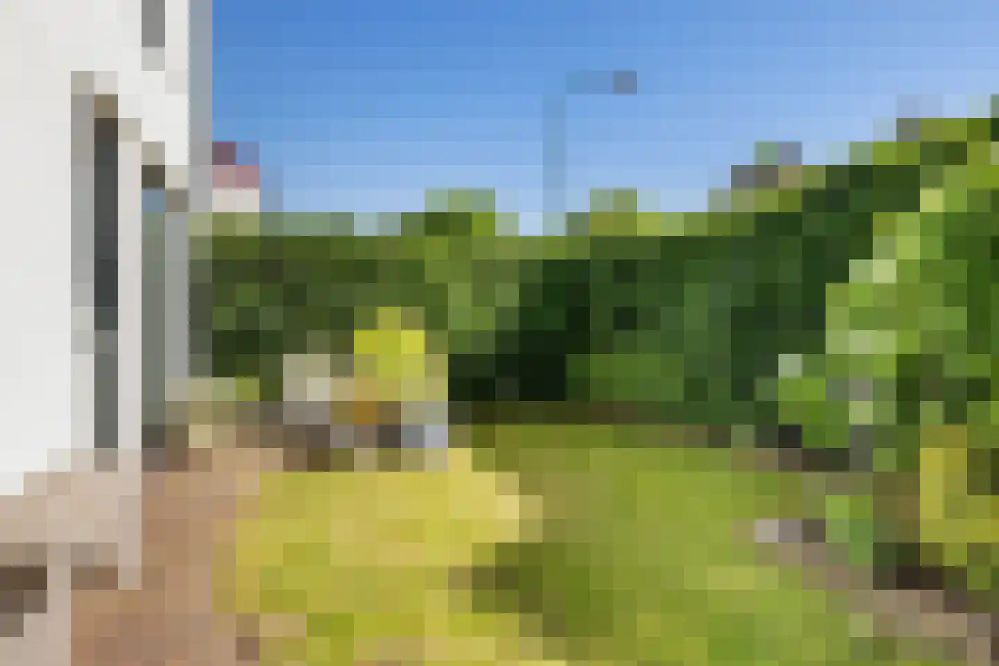 Pieter de Hooghlaan 1 Soest thumbnail 6