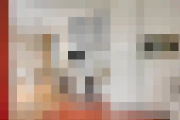 Pieter de Hooghlaan 10 C Hilversum thumbnail 16