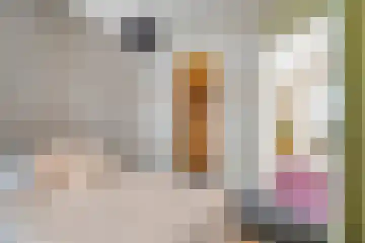 Pieter de Hooghlaan 10 C Hilversum thumbnail 21