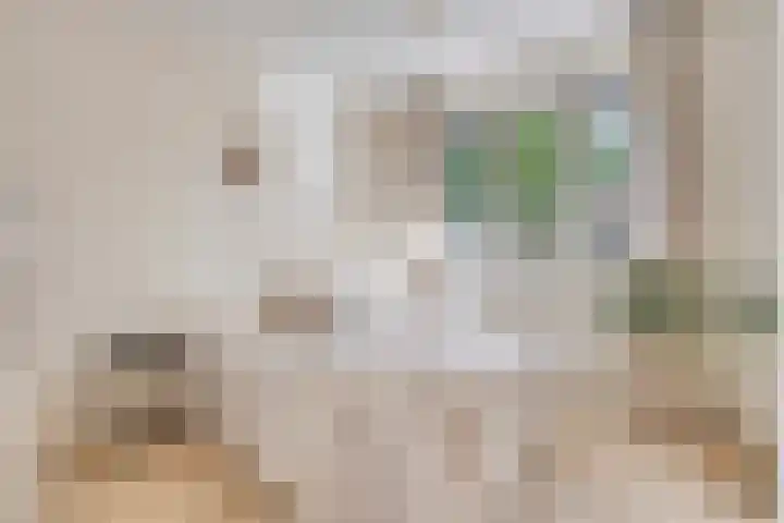 Pieter de Hooghlaan 10 C Hilversum thumbnail 22